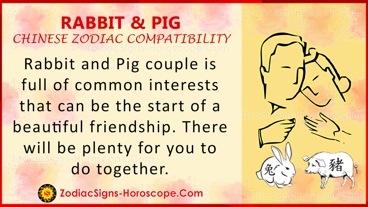 Rabbit And Pig Chinese Zodiac Compatibility Love And Relationship