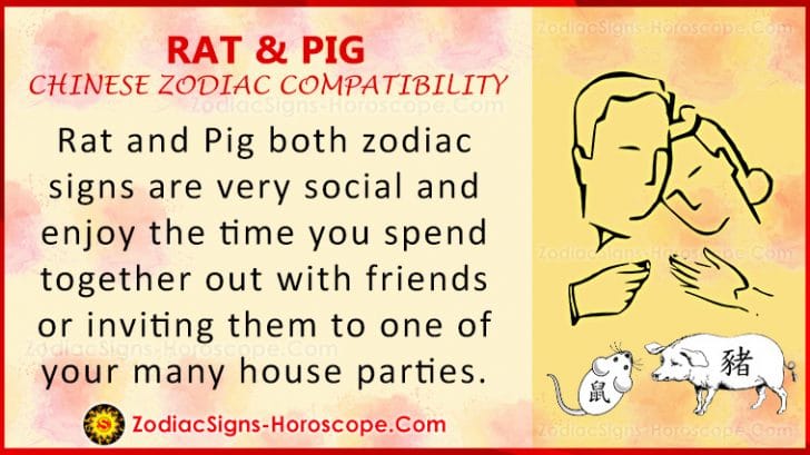 chinese new year pig compatibility