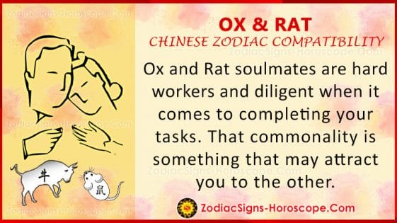 ox-and-rat-love-compatibility-relationship-and-traits-in-chinese-zodiac