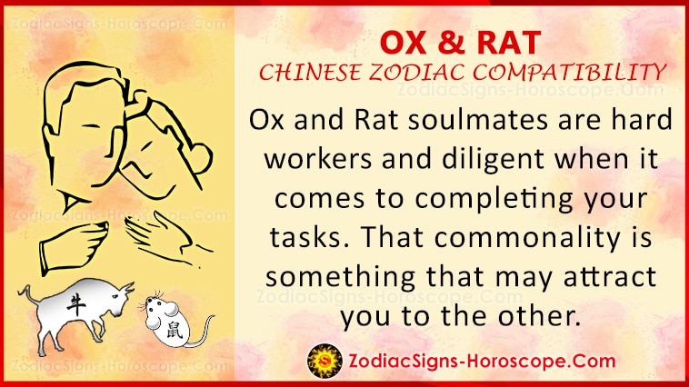 chinese astrology rat compatibility