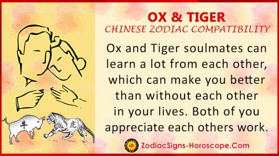 ox-and-tiger-love-compatibility-relationship-and-traits-in-chinese-zodiac