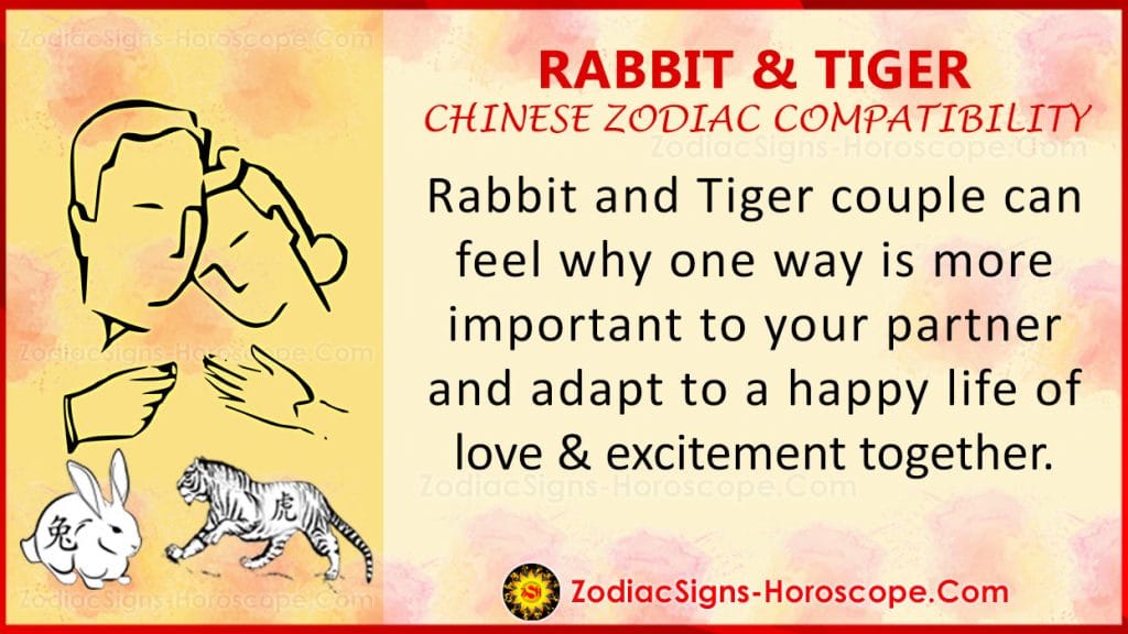 rabbit-and-tiger-chinese-zodiac-compatibility-love-and-relationship