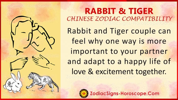 Rabbit and Tiger Chinese Zodiac Compatibility: Love and Relationship