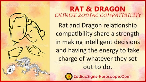 rat-and-dragon-zodiac-compatibility-relationship-and-traits-in