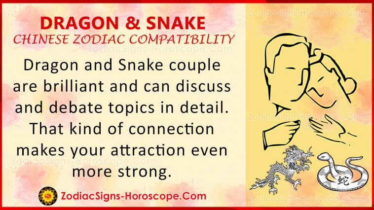 dragon-and-snake-chinese-zodiac-compatibility-love-and-relationship