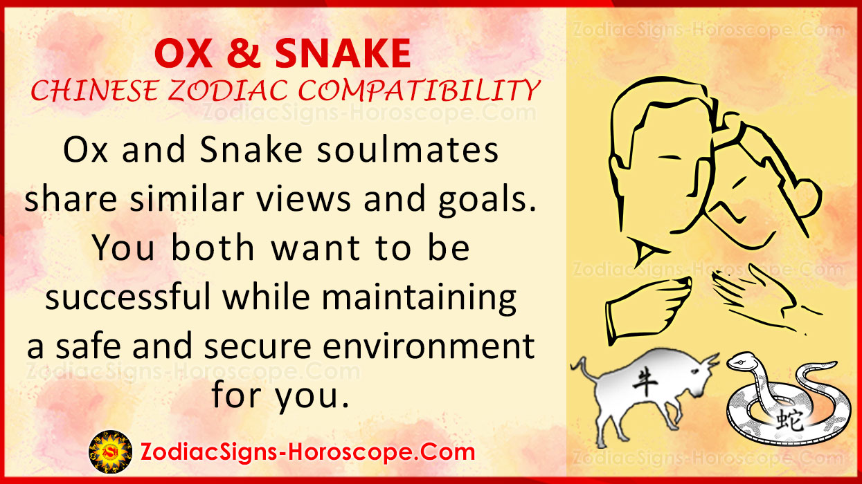 chinese astrology snake personality