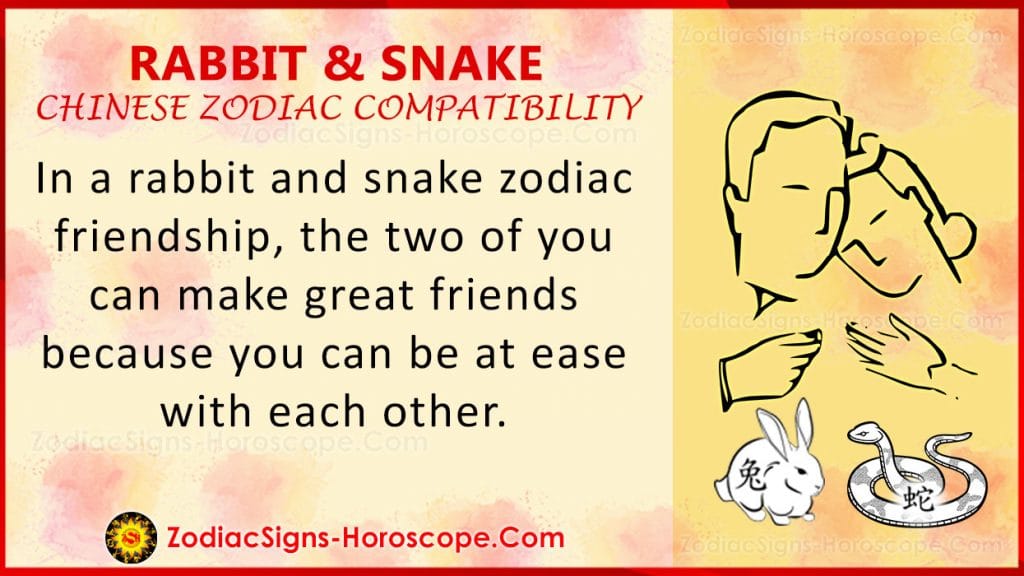 Rabbit and Snake Chinese Zodiac Compatibility Love and Relationship