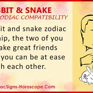 Rabbit and Dragon Chinese Zodiac Compatibility: Love and Relationship