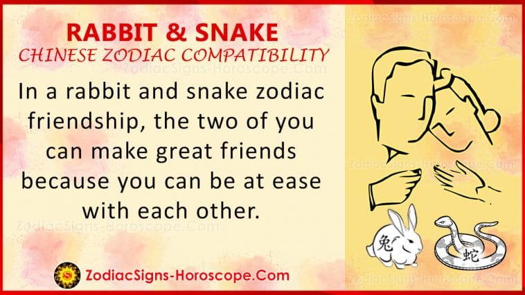 rabbit-and-snake-chinese-zodiac-compatibility-love-and-relationship