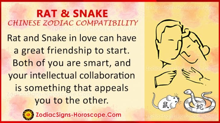 rat-and-snake-love-compatibility-relationship-traits-in-chinese-zodiac