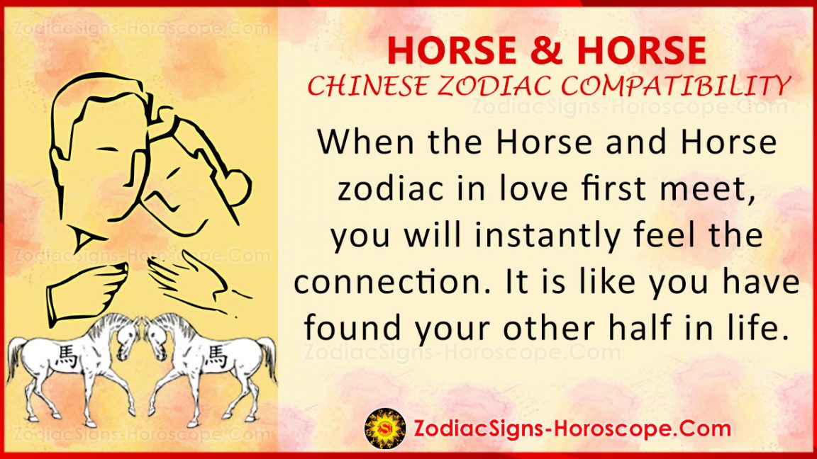 chinese new year horse compatibility