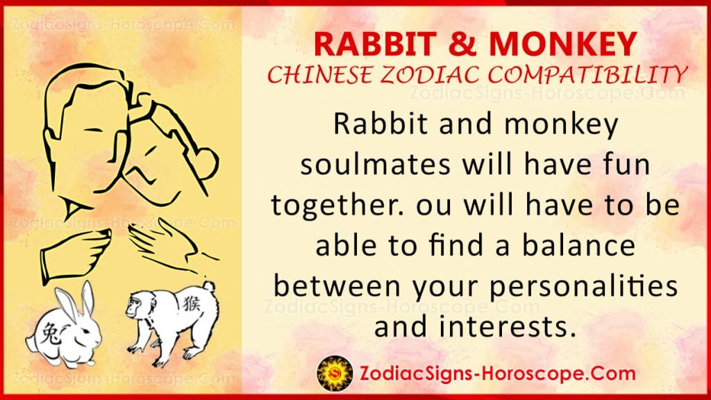 Rabbit and Monkey Chinese Zodiac Compatibility: Love and Relationship