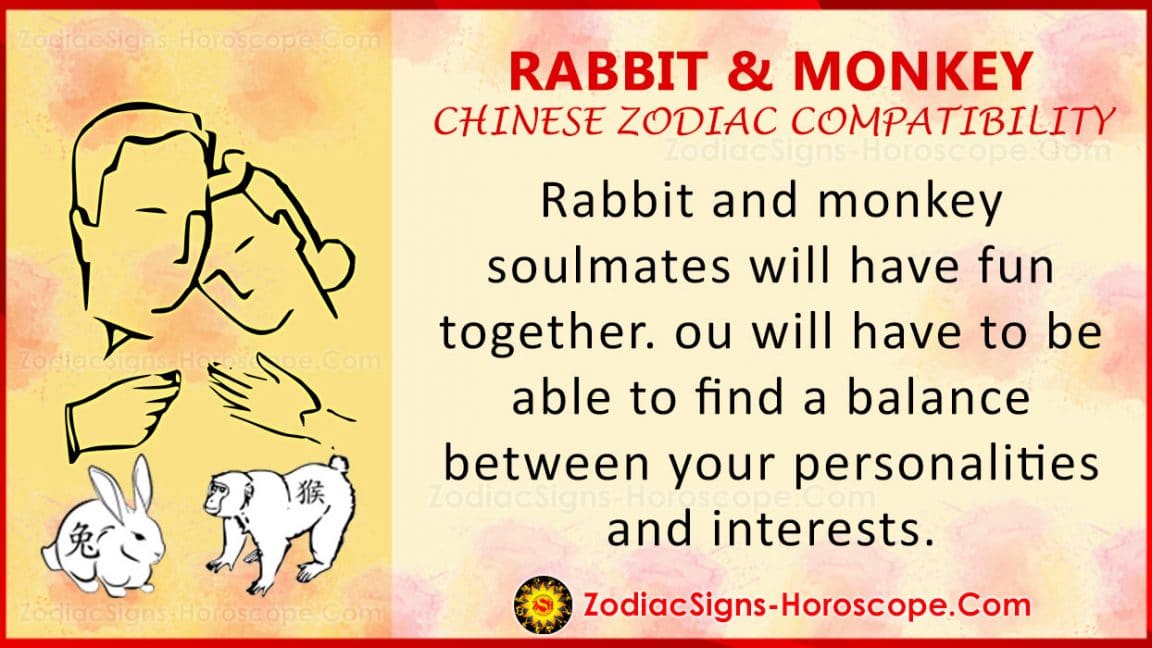 Rabbit and Monkey Chinese Zodiac Compatibility Love and Relationship