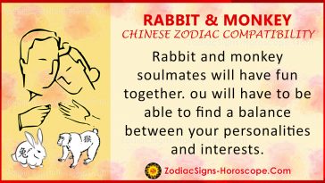 Rabbit and Monkey Chinese Zodiac Compatibility: Love and Relationship