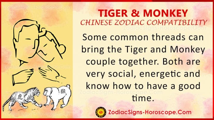 tiger-and-monkey-chinese-zodiac-compatibility-love-and-relationship