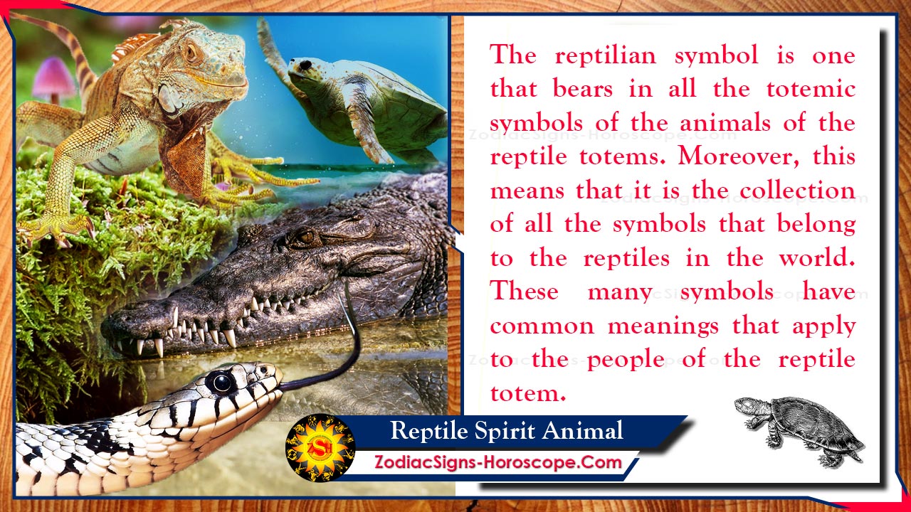 Reptile Spirit Animal: Totem, Meaning and Symbolic Significance | ZSH