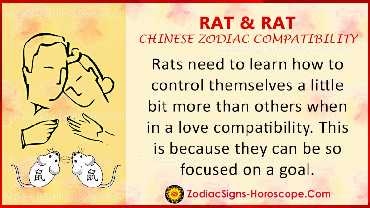 rat-and-rat-love-compatibility-relationship-traits-in-chinese-astrology