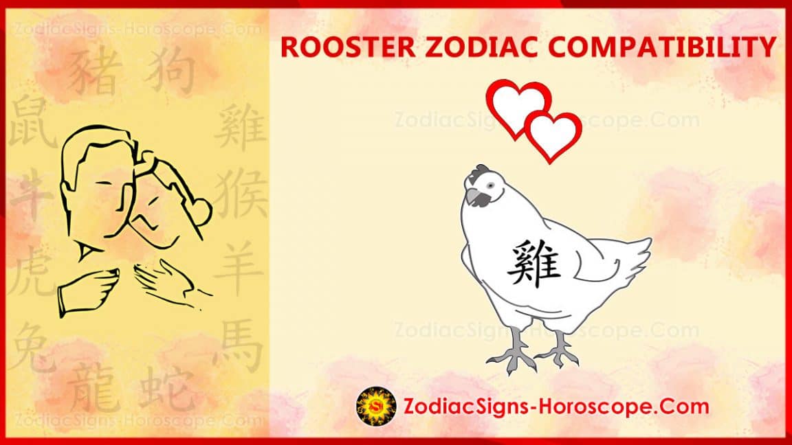 rooster-compatibility-love-and-marriage-chinese-zodiac-compatibility