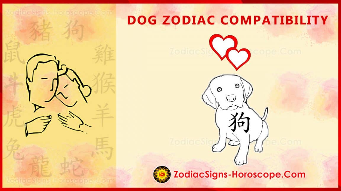 dog-compatibility-love-and-marriage-chinese-zodiac-compatibility