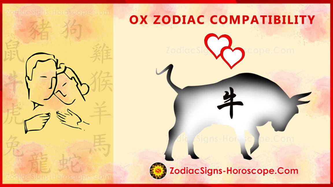 Ox Compatibility, Love and Marriage - Chinese Zodiac Compatibility