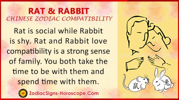 rat-and-rabbit-love-compatibility-relationship-traits-in-chinese-zodiac