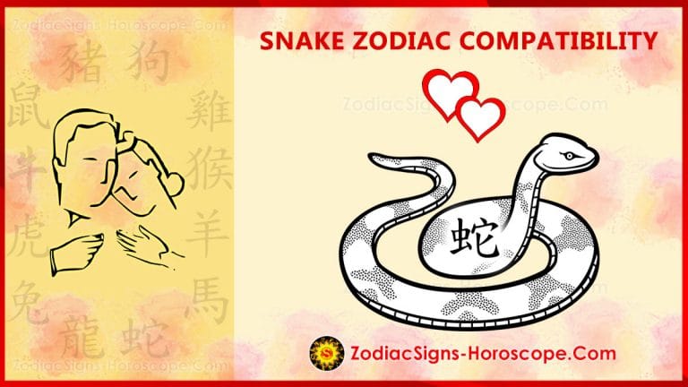 Snake Compatibility, Love and Marriage - Chinese Zodiac Compatibility