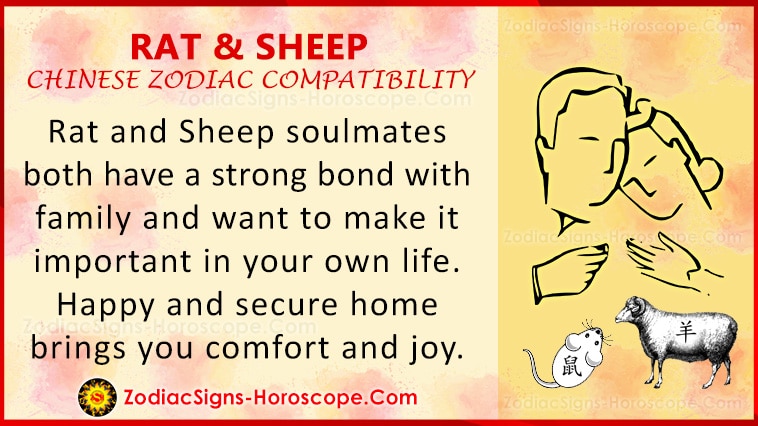 rat-and-sheep-love-compatibility-relationship-traits-in-chinese-zodiac