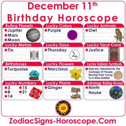 what zodiac sign is december 11 2010