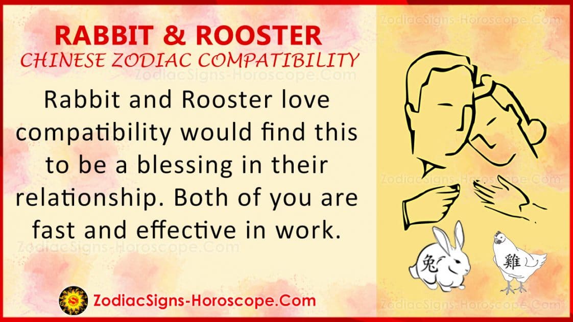 Rabbit and Rooster Chinese Zodiac Compatibility Love and Relationship