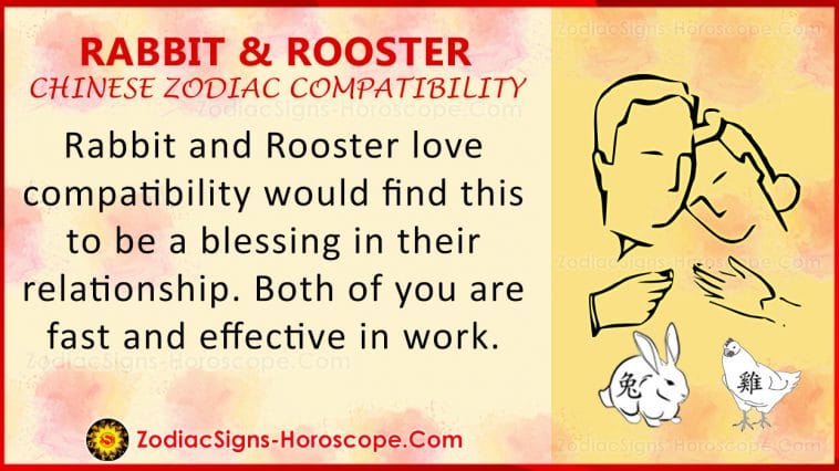 chinese astrology rat and rooter compatibility