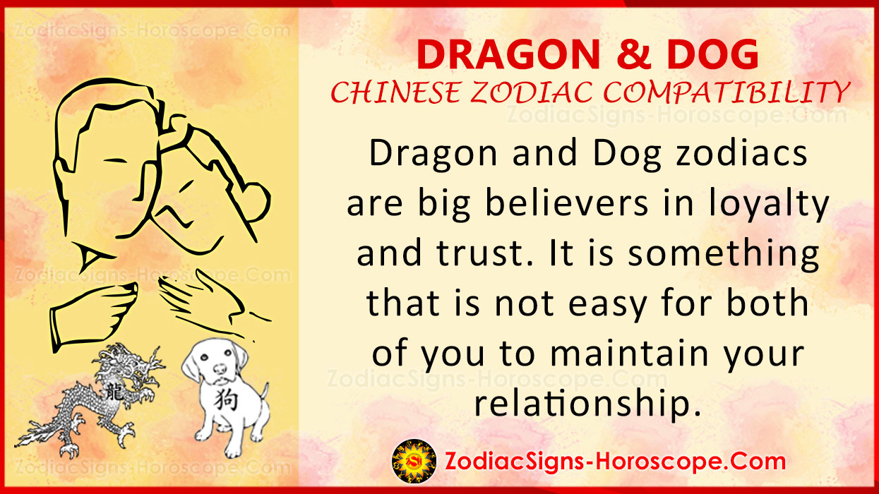 Dragon and Dog Chinese Zodiac Compatibility: Love and Relationship
