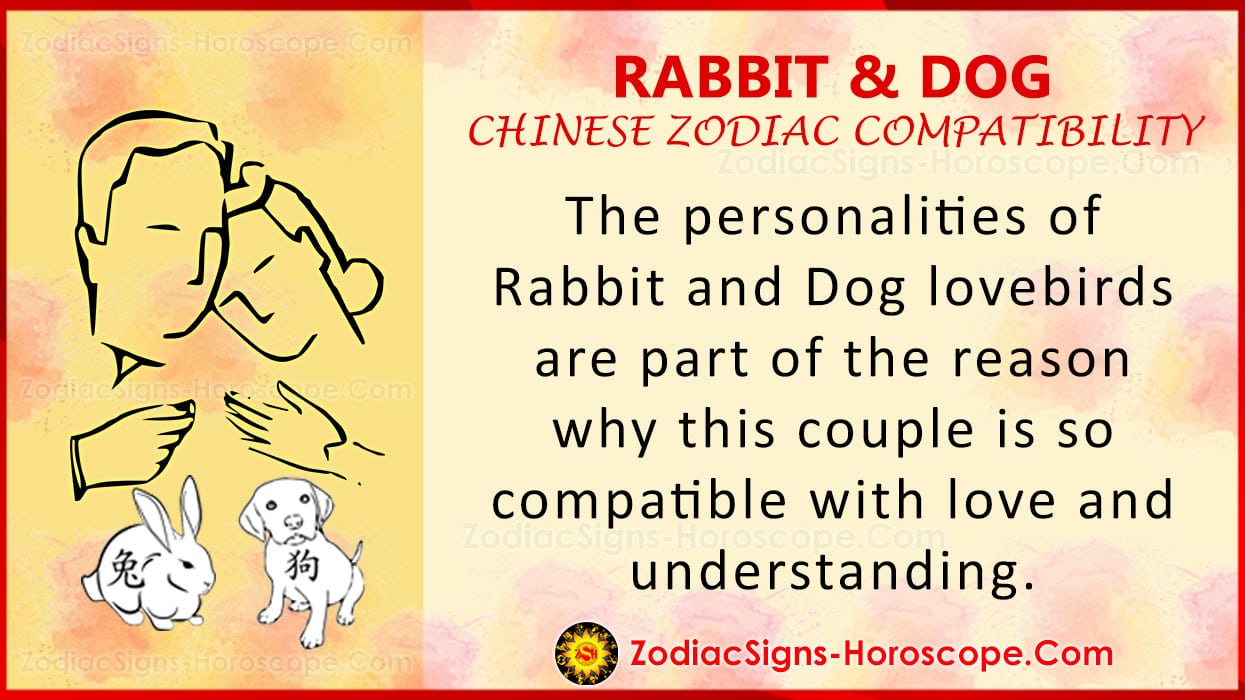 Rabbit and Dog Chinese Zodiac Compatibility Love and Relationship