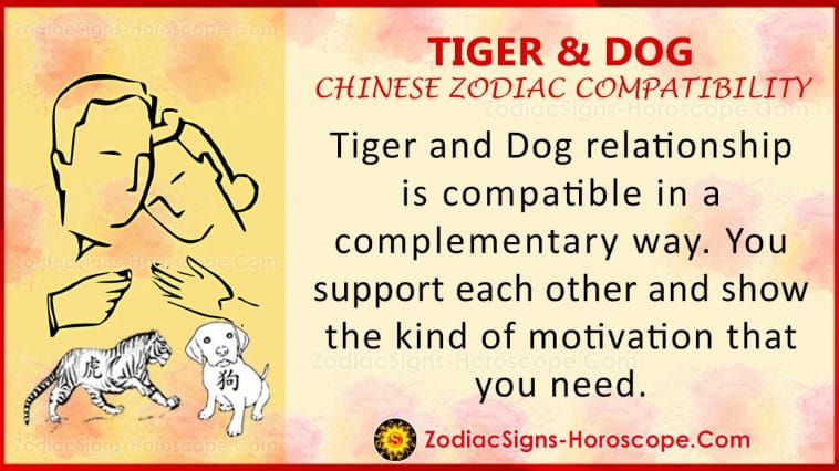 dog tiger compatibility 2022 chinese astrology