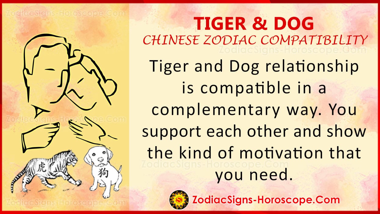 tiger-and-dog-chinese-zodiac-compatibility-love-and-relationship