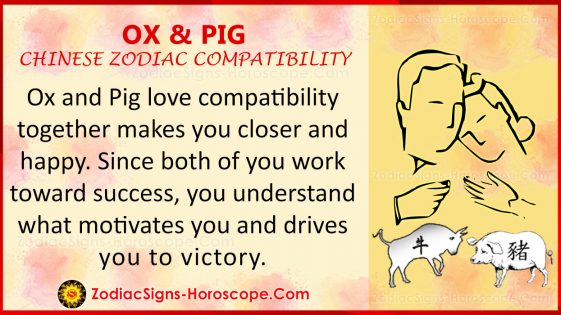 ox-and-pig-love-compatibility-relationship-and-traits-in-chinese-zodiac