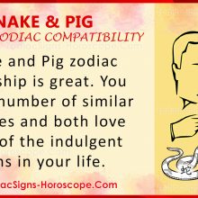 Snake and Dog Chinese Zodiac Compatibility: Love and Relationship