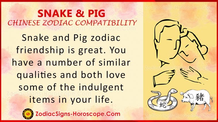 snake-and-pig-chinese-zodiac-compatibility-love-and-relationship-zsh