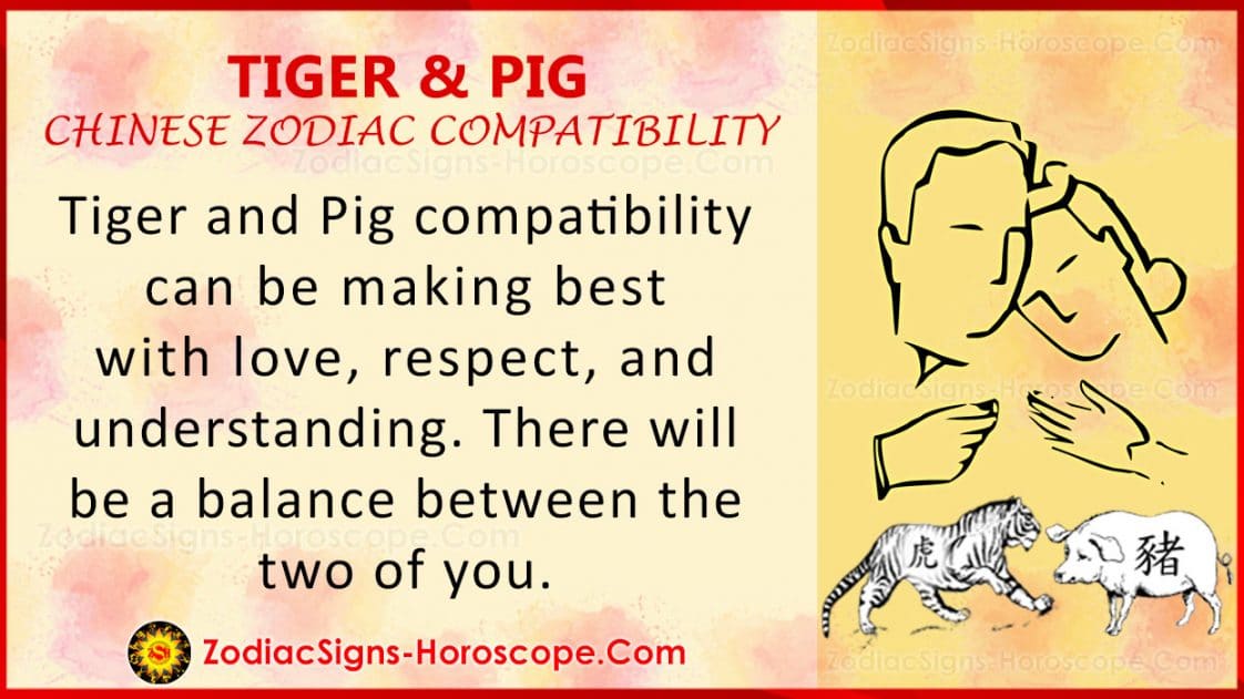 tiger-and-pig-chinese-zodiac-compatibility-love-and-relationship-zsh