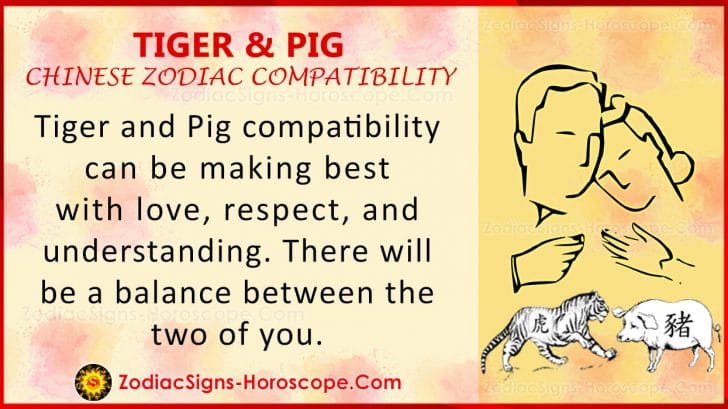 tiger-and-pig-chinese-zodiac-compatibility-love-and-relationship-zsh