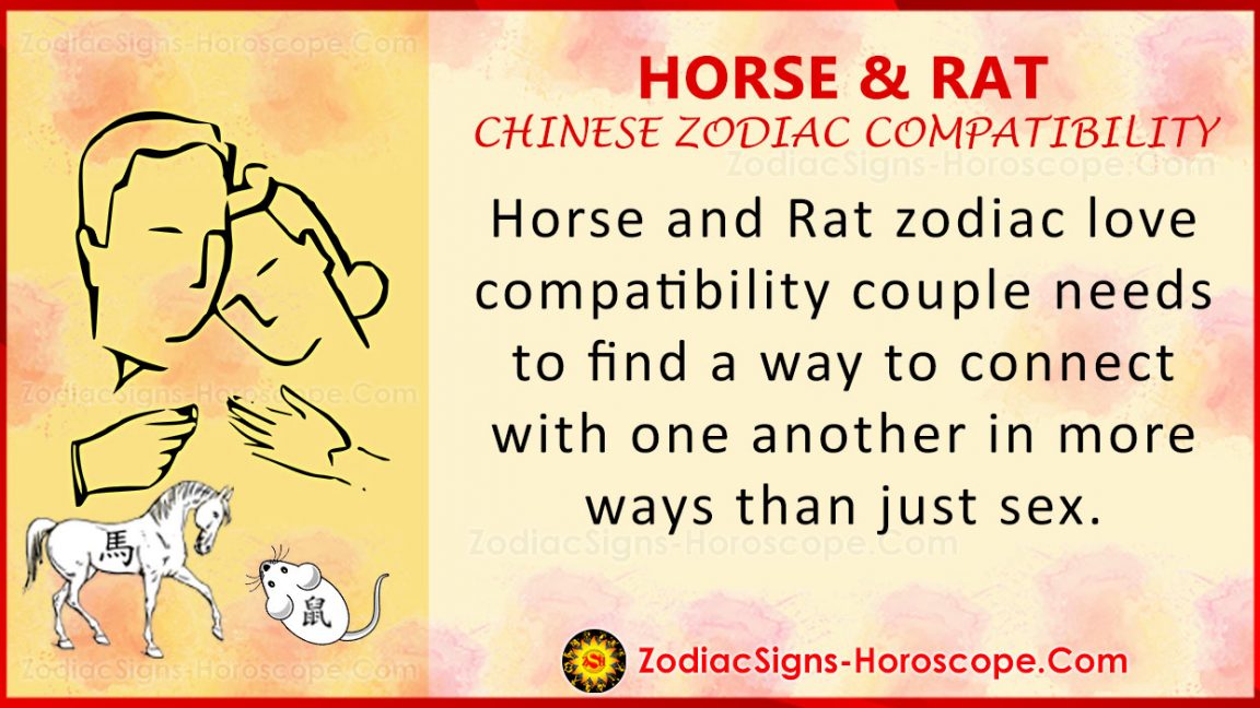 chinese astrology dog and rat compatability