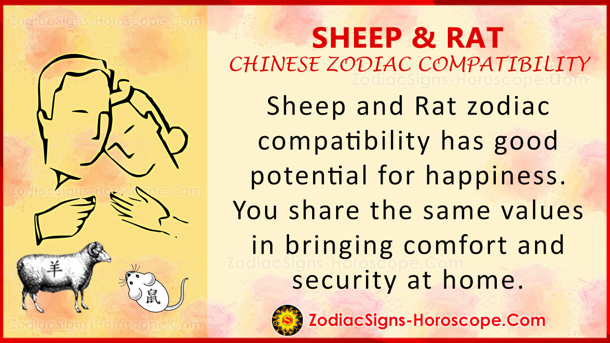 sheep-and-rat-chinese-zodiac-compatibility-love-and-relationship-zsh