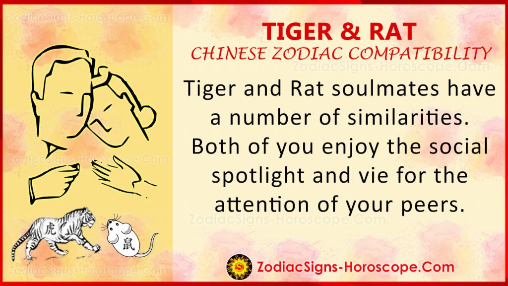 tiger-and-rat-love-compatibility-relationship-traits-in-chinese-zodiac