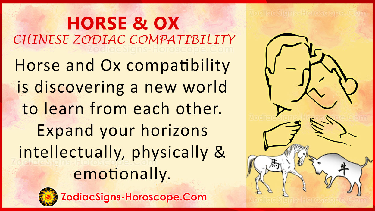 horse-and-ox-chinese-zodiac-compatibility-love-and-relationship-zsh