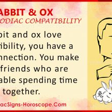 Rabbit and Tiger Chinese Zodiac Compatibility: Love and Relationship