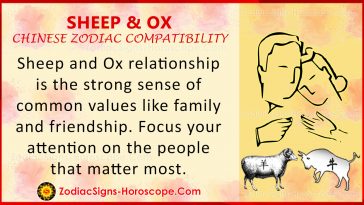 Sheep And Ox Chinese Zodiac Compatibility Love And Relationship Zsh