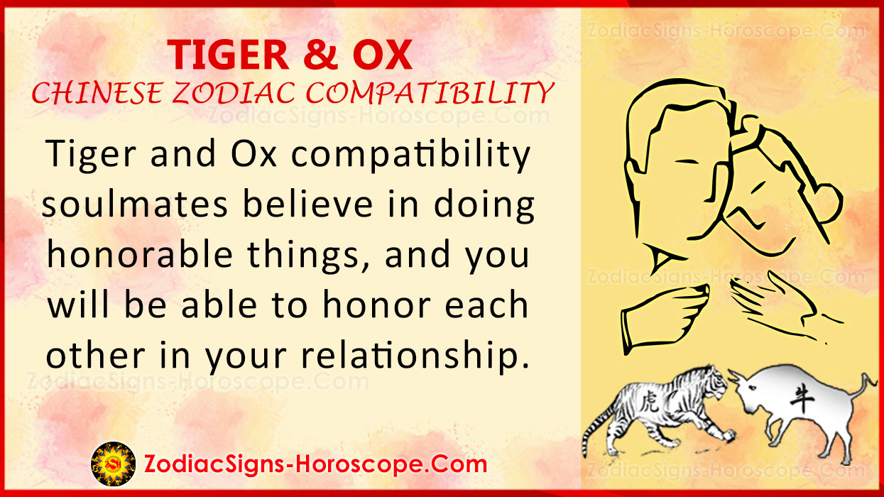 tiger-and-ox-love-compatibility-relationship-and-traits-in-chinese-zodiac