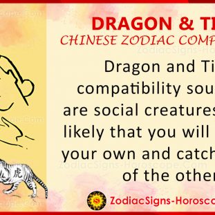 Dragon and Rabbit Chinese Zodiac Compatibility: Love and Relationship