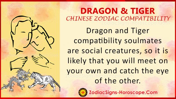 dragon-and-tiger-chinese-zodiac-compatibility-love-and-relationship