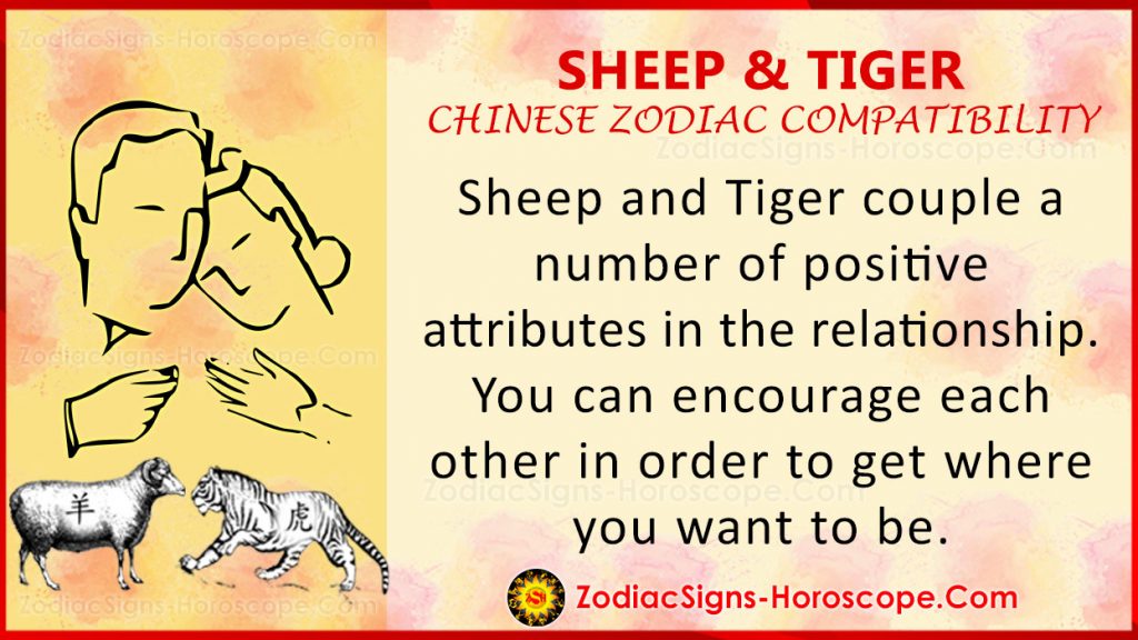 Sheep and Tiger Chinese Zodiac Compatibility Love and Relationship