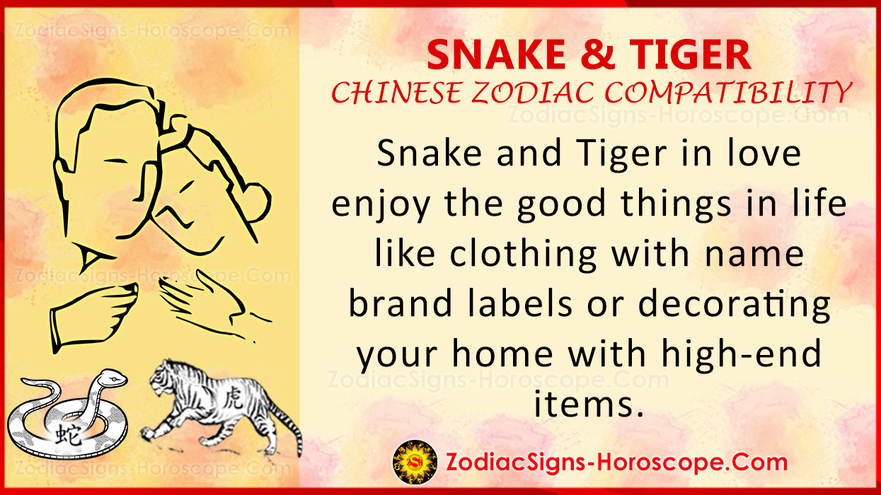 snake-and-tiger-chinese-zodiac-compatibility-love-and-relationship